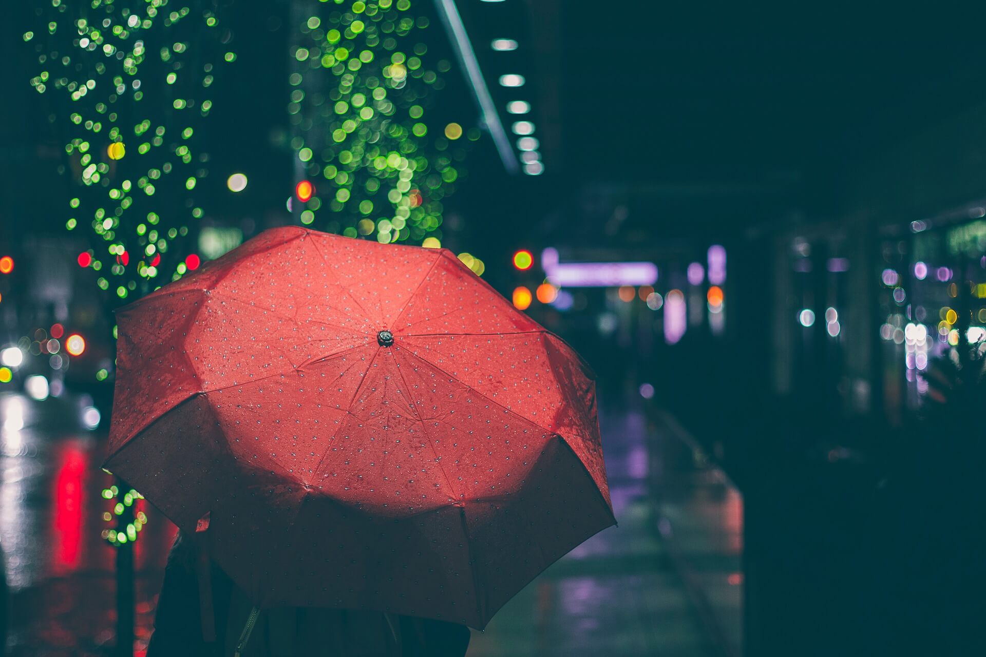 Umbrella